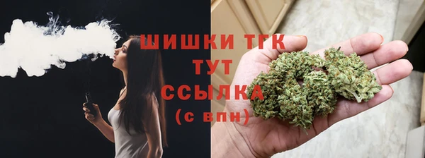 бошки Алексин